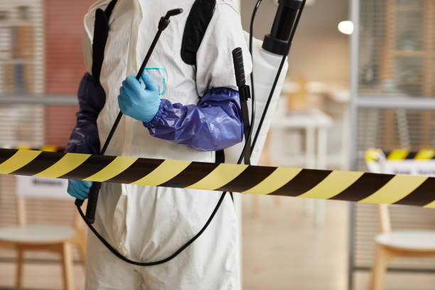 Professional Hoarding Cleanup technician working in Bayside, TX